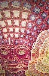 20070629011323-tool.jpg